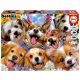 PUZZLE 1000 SELFIE DE PERRITOS
