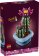 11509 Cactus en Flor